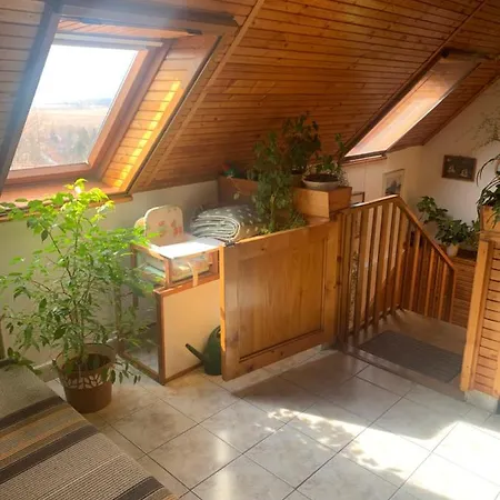 아파트 Szigligeti Marika Apartman 시글리게트